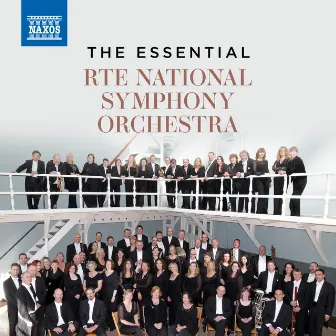 The Essential RTÉ National Symphony Orchestra by RTÉ National Symphony Orchestra