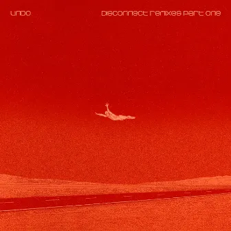 Disconnect Remixes, Pt. 1 by Undo