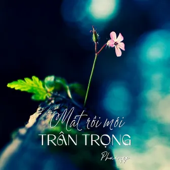 Mất Rồi Mới Trân Trọng by Phươngg