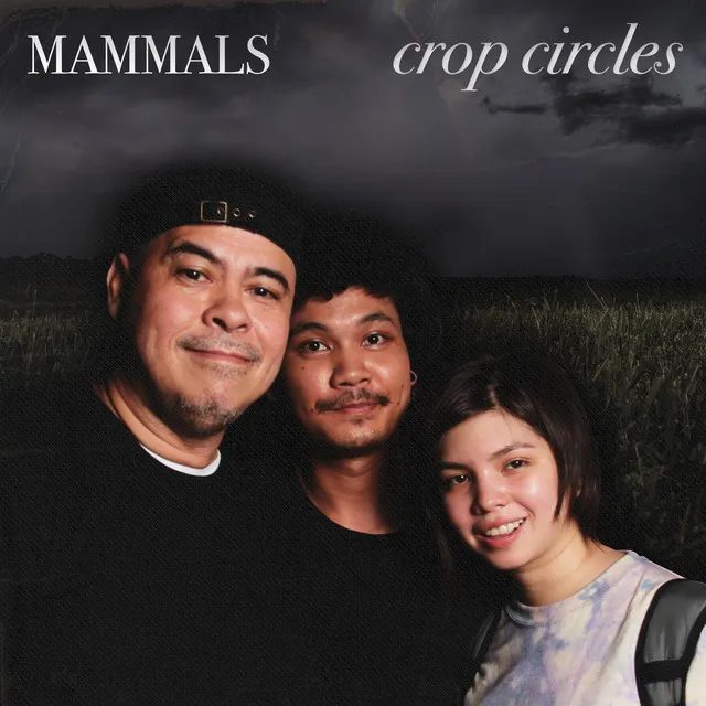 Crop Circles