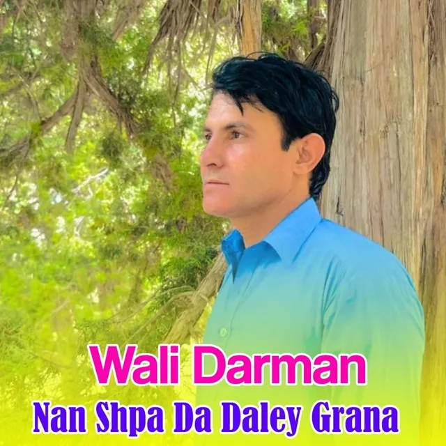 Nan Shpa Da Daley Grana