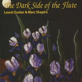 The Dark Side of the Flute by Marc Shapiro