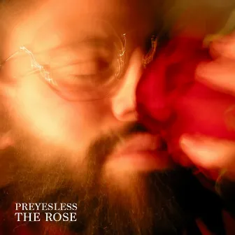 The Rose by Preyesless