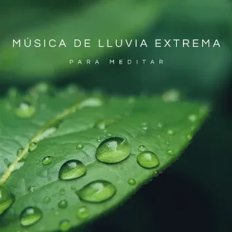 Música De Lluvia Extrema Para Meditar by Sonidos De La Selva