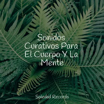 Sonidos Curativos Para El Cuerpo Y La Mente by Unknown Artist