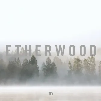 Climbing (Radio Edit) by Etherwood