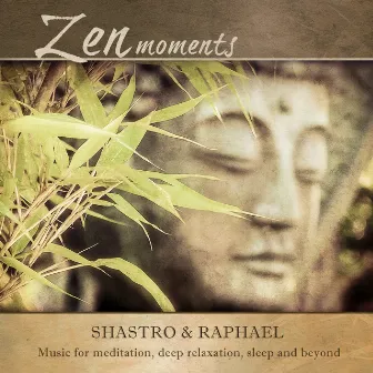 Zen Moments by Shastro