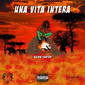 Una vita intera by Quinn Carter