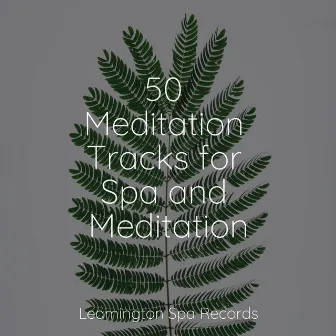 50 Meditation Tracks for Spa and Meditation by White Noise Sound Garden