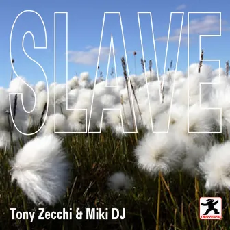 Slave by Tony Zecchi