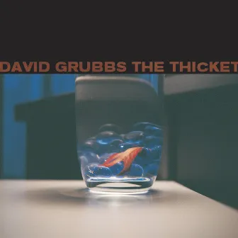 The Thicket by David Grubbs