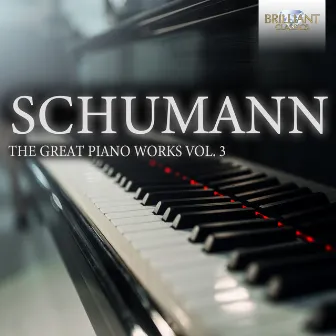 Schumann: The Great Piano Works, Vol. 3 by Denys Proshayev