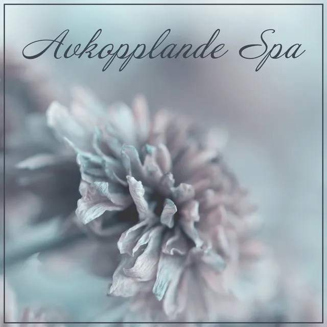 Avkopplande Spa - Kroppsbehandlingar, Skönhet, Tystnad och Avkoppling