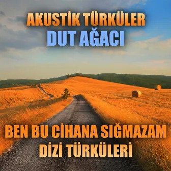 Akustik Türküler: Dut Ağacı (Ben Bu Cihana Sığmazam Dizi Türküleri) by Enes Yolcu