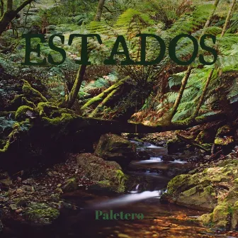 Estados by Paletero