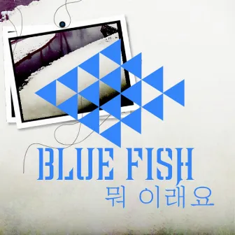 뭐 이래요 by Blue Fish