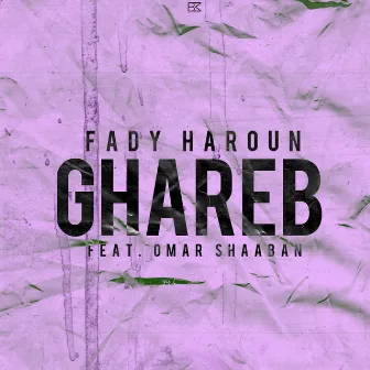 Ghareb (feat. Omar Shaaban) by Fady Haroun