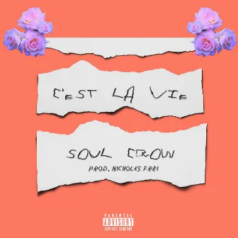 C'est la vie by Soul Crow