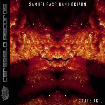 State Acid by Dan Horizon