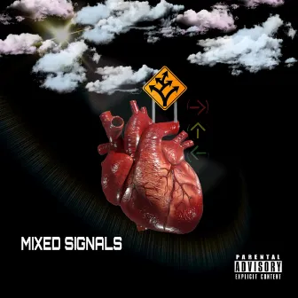 Mixed Signals by Daneshia Rahmon