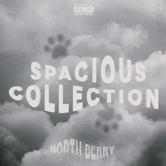 SPACIOUS COLLECTION by North Berry