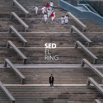 El ring by SED