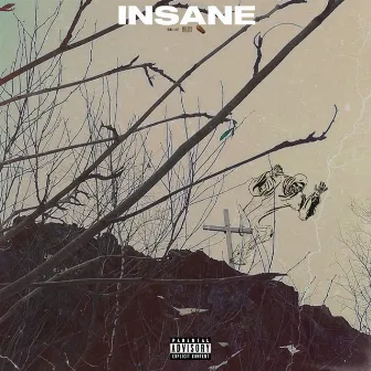 Insane by DEADHEAT