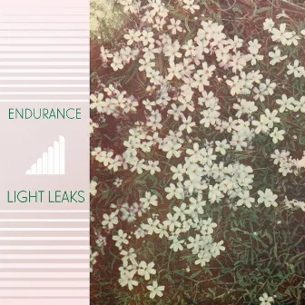 Light Leaks by Endurance