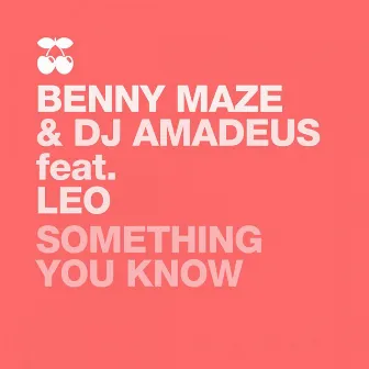 Something You Know by Benny Maze