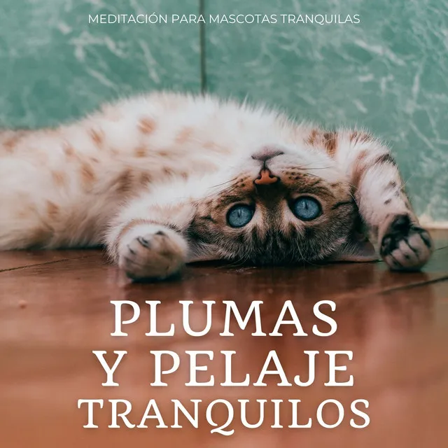 Plumas Y Pelaje Tranquilos: Meditación Para Mascotas Tranquilas