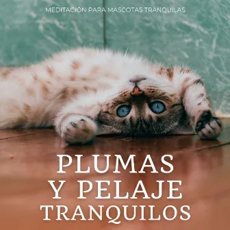 Plumas Y Pelaje Tranquilos: Meditación Para Mascotas Tranquilas by Música para cenar bien