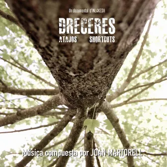 Dreceres (Banda Sonora Original) by Joan Martorell