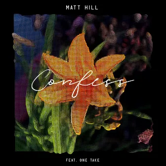 Confess by Matt Hill