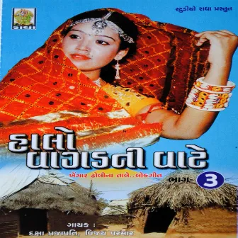 Halo Re Vagad Ni Vaare, Vol. 3 by Daksha Prajapati