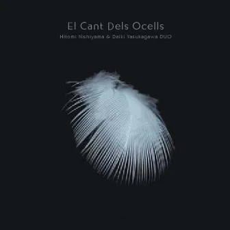 El Cant Dels Ocells by Daiki Yasukagawa