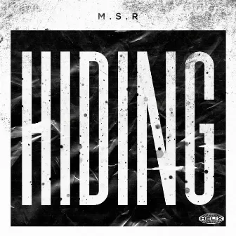 Hiding by M.S.R