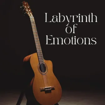 Labyrinth Of Emotions by Starry Bay Trio