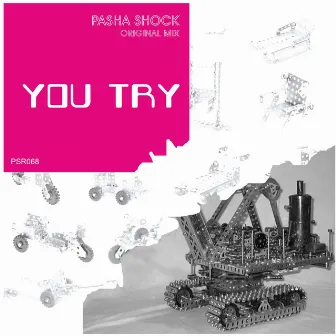 You Try by Pasha Shock