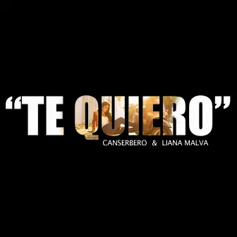 Te quiero by Solo Soul