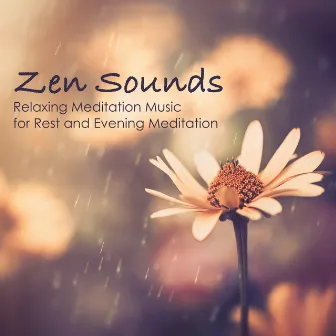 Zen Sounds - Relaxing Meditation Music for Rest and Evening Meditation by Klangtherapie Entspannung