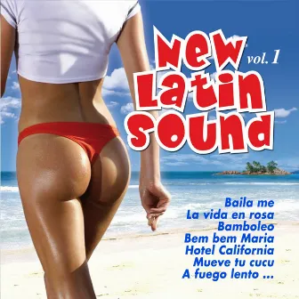 New Latin Sound, Vol. 1 by Los Tres Caballeros