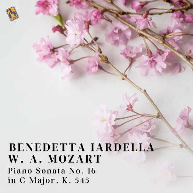 Piano Sonata No. 16 in C Major, K. 545 "Sonata Facile": II. Andante