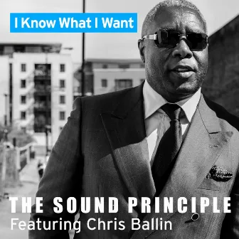 I Know What I Want by The Sound Principle