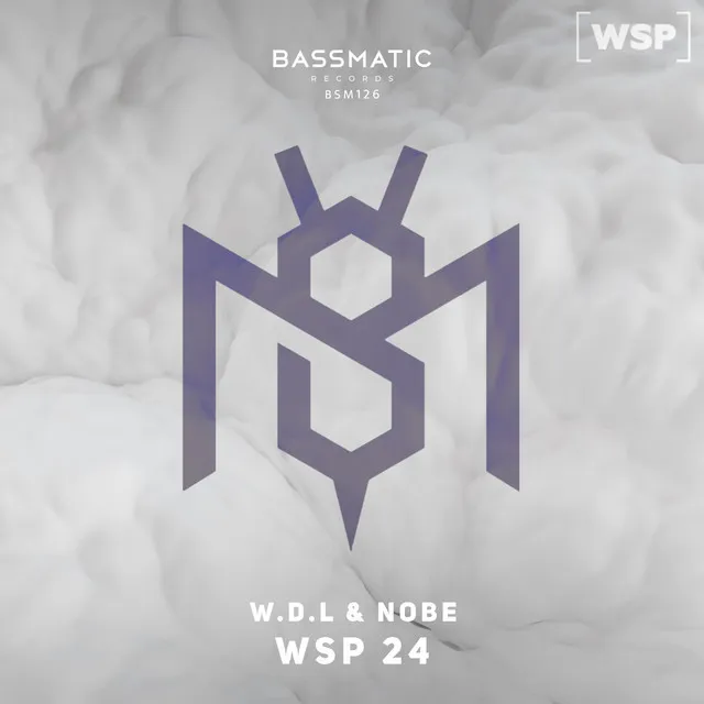 Wsp 24