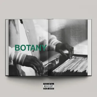 Botany by KAMAE