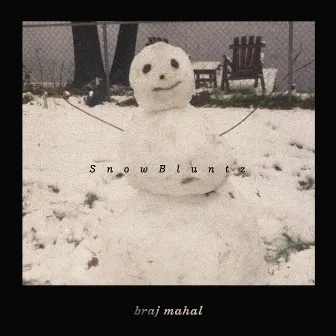 SnowBluntz by braj mahal