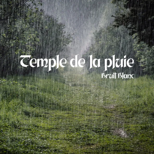 Ruisseau qui coule près de la forêt sous la pluie