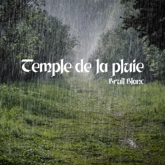 Temple de la pluie: Bruit Blanc, Musique de Relaxation by Zone de la Nature Pure