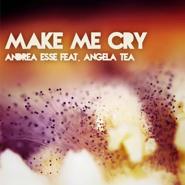 Make Me Cry - Dubstep Remix