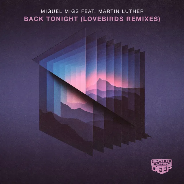 Back Tonight (feat. Martin Luther) - Lovebirds Disco Sketch Mix